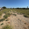 Parcela de 2.000 m2 en Venta Tocino con 4 escrituras independientes